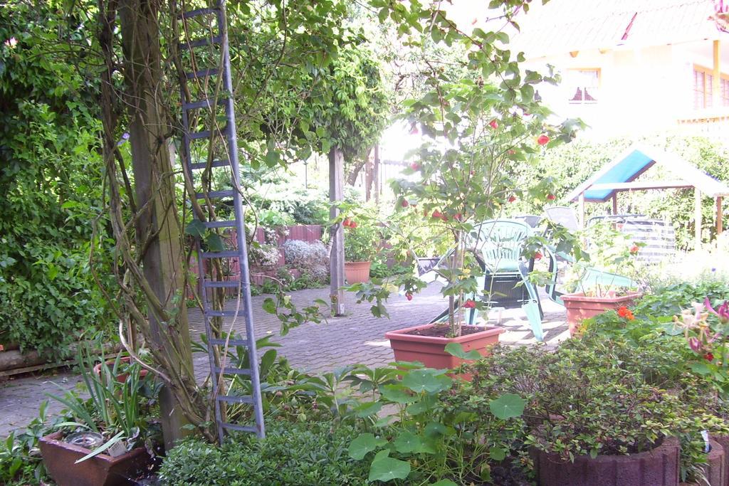 באד בלאנקנבורג Ferienwohnung Dietlinde חדר תמונה